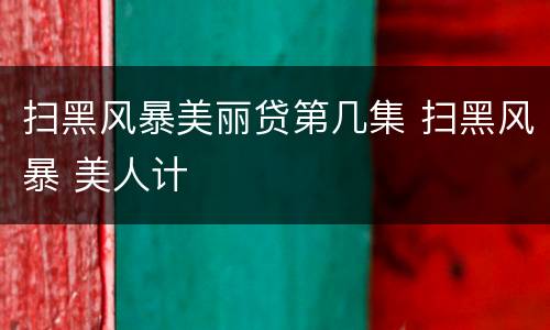 扫黑风暴美丽贷第几集 扫黑风暴 美人计