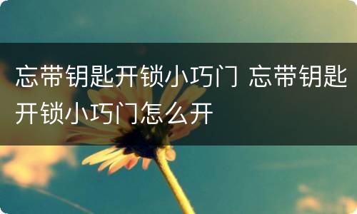 忘带钥匙开锁小巧门 忘带钥匙开锁小巧门怎么开
