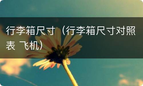 行李箱尺寸（行李箱尺寸对照表 飞机）