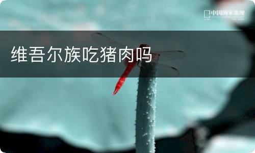 维吾尔族吃猪肉吗