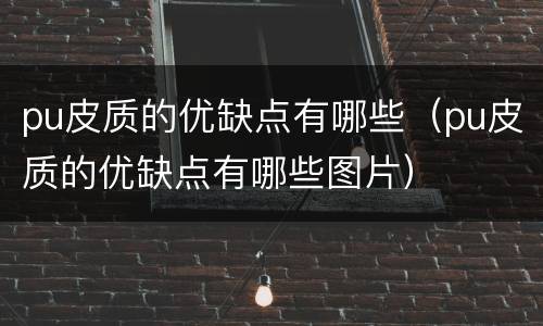 pu皮质的优缺点有哪些（pu皮质的优缺点有哪些图片）
