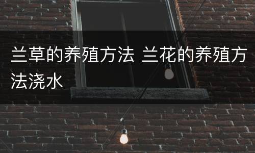 兰草的养殖方法 兰花的养殖方法浇水