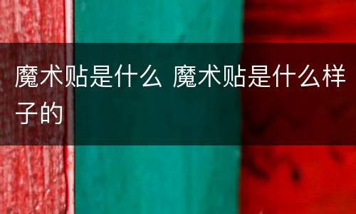 魔术贴是什么 魔术贴是什么样子的