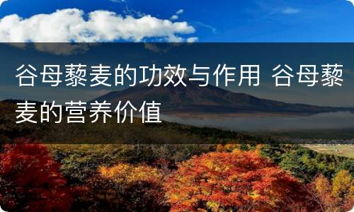 谷母藜麦的功效与作用 谷母藜麦的营养价值