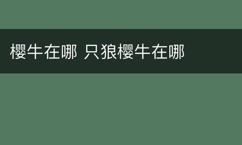 樱牛在哪 只狼樱牛在哪