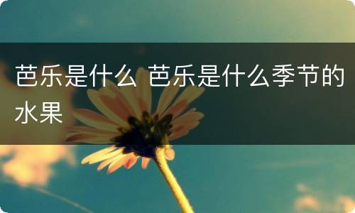 芭乐是什么 芭乐是什么季节的水果