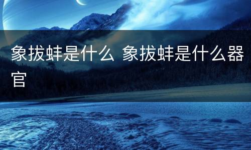 象拔蚌是什么 象拔蚌是什么器官