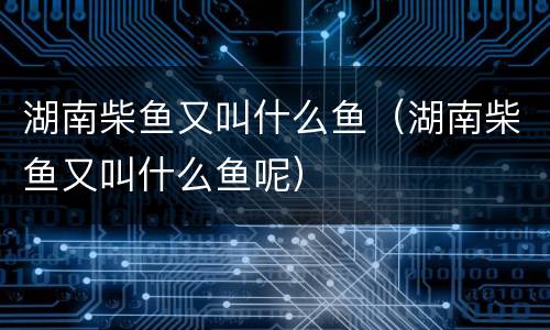 湖南柴鱼又叫什么鱼（湖南柴鱼又叫什么鱼呢）
