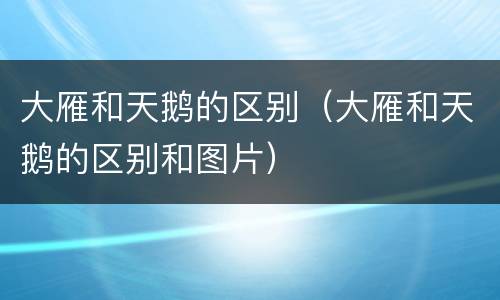 大雁和天鹅的区别（大雁和天鹅的区别和图片）
