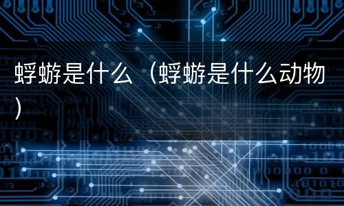 蜉蝣是什么（蜉蝣是什么动物）