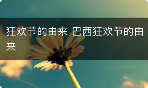 狂欢节的由来 巴西狂欢节的由来