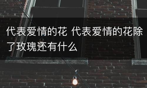 代表爱情的花 代表爱情的花除了玫瑰还有什么
