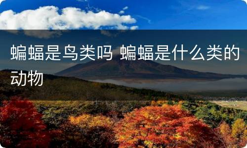 蝙蝠是鸟类吗 蝙蝠是什么类的动物