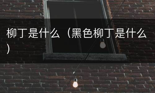 柳丁是什么（黑色柳丁是什么）