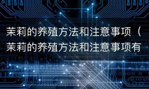 茉莉的养殖方法和注意事项（茉莉的养殖方法和注意事项有哪些）
