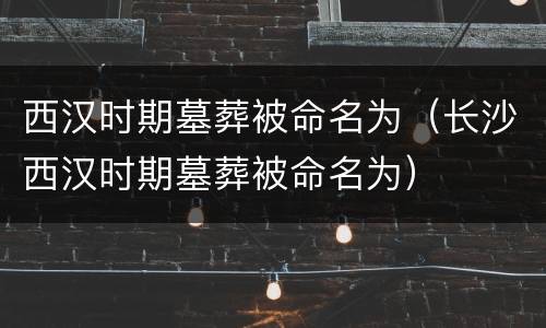 西汉时期墓葬被命名为（长沙西汉时期墓葬被命名为）