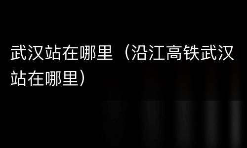 武汉站在哪里（沿江高铁武汉站在哪里）