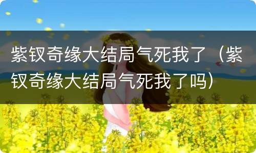 紫钗奇缘大结局气死我了（紫钗奇缘大结局气死我了吗）