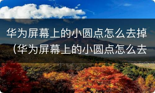 华为屏幕上的小圆点怎么去掉（华为屏幕上的小圆点怎么去掉?）