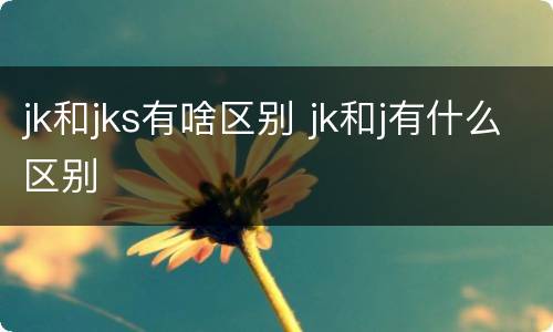 jk和jks有啥区别 jk和j有什么区别