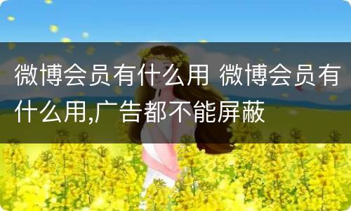 微博会员有什么用 微博会员有什么用,广告都不能屏蔽