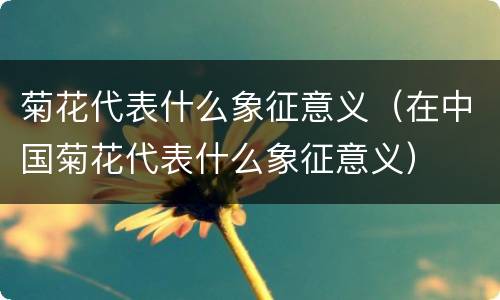 菊花代表什么象征意义（在中国菊花代表什么象征意义）