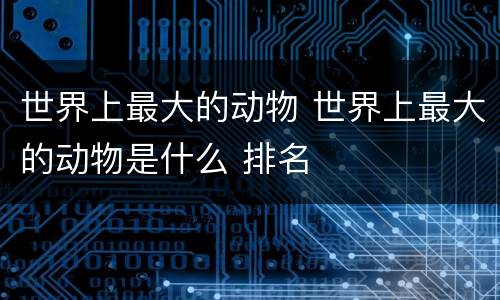 世界上最大的动物 世界上最大的动物是什么 排名