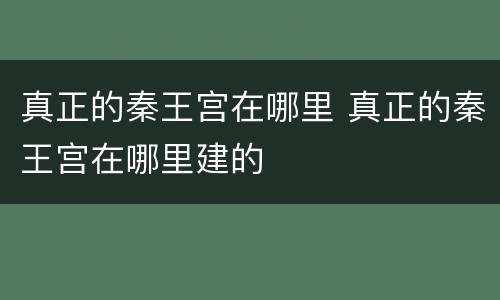 真正的秦王宫在哪里 真正的秦王宫在哪里建的
