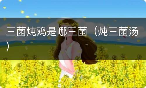 三菌炖鸡是哪三菌（炖三菌汤）