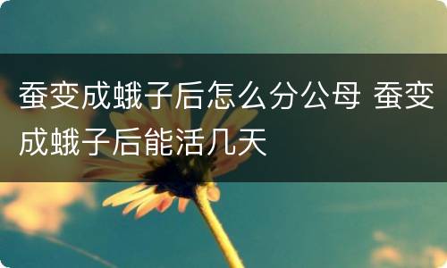 蚕变成蛾子后怎么分公母 蚕变成蛾子后能活几天