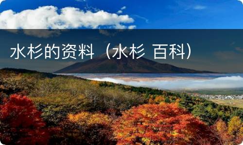 水杉的资料（水杉 百科）