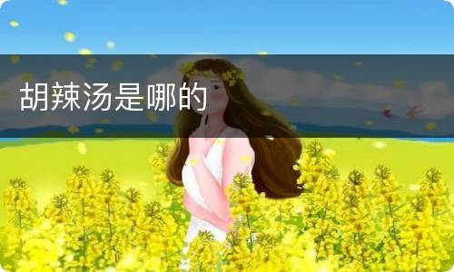 胡辣汤是哪的