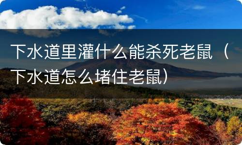 下水道里灌什么能杀死老鼠（下水道怎么堵住老鼠）