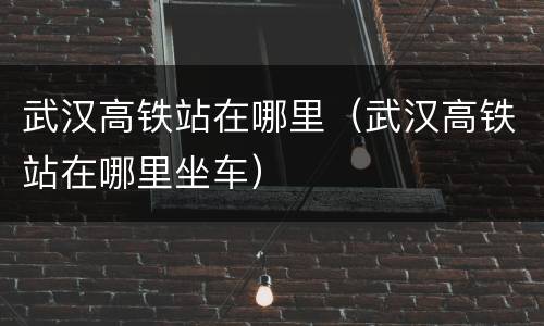 武汉高铁站在哪里（武汉高铁站在哪里坐车）
