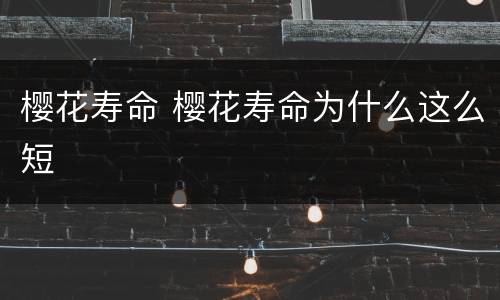 樱花寿命 樱花寿命为什么这么短