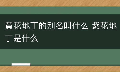 黄花地丁的别名叫什么 紫花地丁是什么