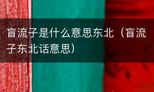 盲流子是什么意思东北（盲流子东北话意思）