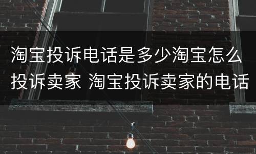 淘宝投诉电话是多少淘宝怎么投诉卖家 淘宝投诉卖家的电话和方法