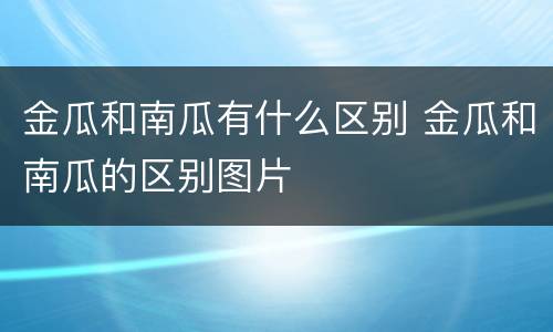 金瓜和南瓜有什么区别 金瓜和南瓜的区别图片