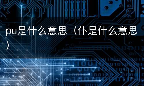 pu是什么意思（仆是什么意思）