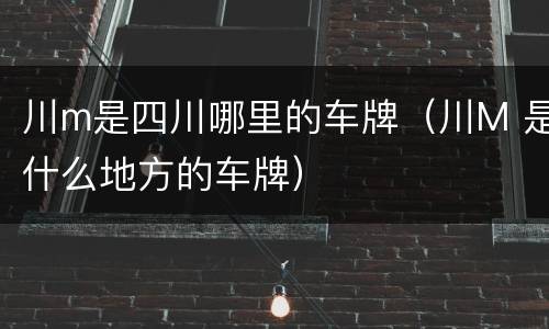 川m是四川哪里的车牌（川M 是什么地方的车牌）