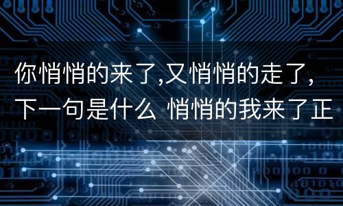 你悄悄的来了,又悄悄的走了,下一句是什么 悄悄的我来了正如我悄悄的走下一句