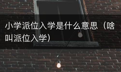 小学派位入学是什么意思（啥叫派位入学）