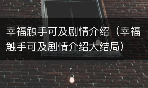 幸福触手可及剧情介绍（幸福触手可及剧情介绍大结局）