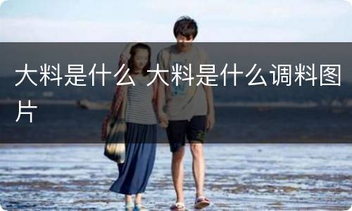 大料是什么 大料是什么调料图片