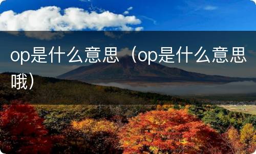 op是什么意思（op是什么意思哦）