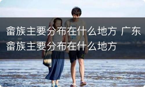 畲族主要分布在什么地方 广东畲族主要分布在什么地方