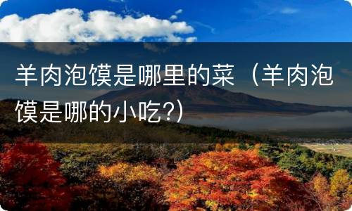 羊肉泡馍是哪里的菜（羊肉泡馍是哪的小吃?）