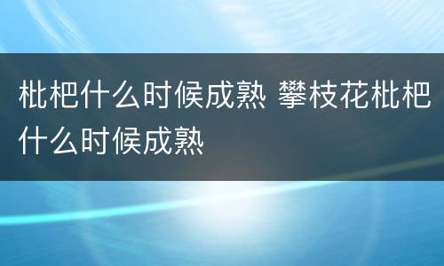 枇杷什么时候成熟 攀枝花枇杷什么时候成熟