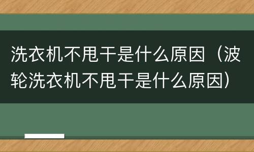 洗衣机不甩干是什么原因（波轮洗衣机不甩干是什么原因）